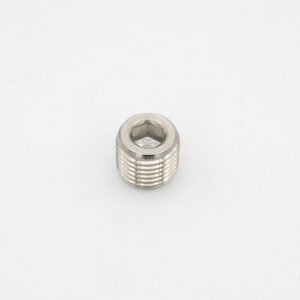 Plug with Hex Drive, 1/4 NPT Male